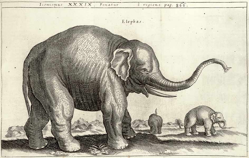Biologie - Zoologie - - Schott, Caspar. Physica curiosa, sive mirabilia naturae et artis libris XII.