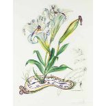 Dali, Salvador. Lilium longiflorum vel tempus. Blatt aus der Serie "Surrealistic Flowers".