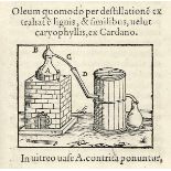 Occulta - Alchemie - - Gessner, Conrad. Thesaurus Euonymi Philiatri, de remediis secretis, liber