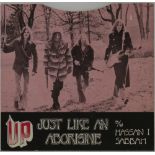 THE UP - JUST LIKE AN ABORIGINE - Superb Proto Punk straight from the streets of Michigan with this