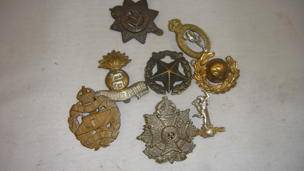 8 x brass cap badges