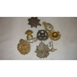 8 x brass cap badges