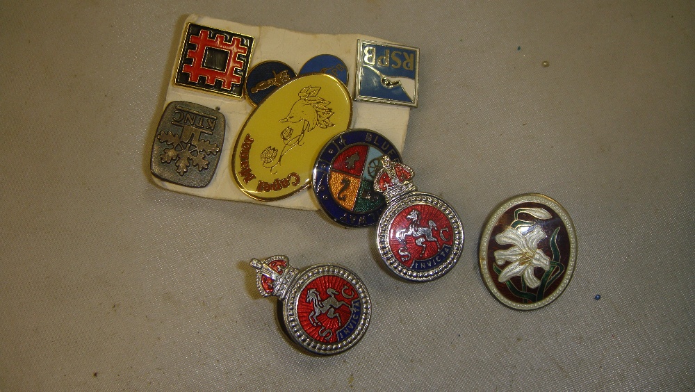 Assorted enamel and other badges