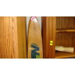 Vintage Nash water skis