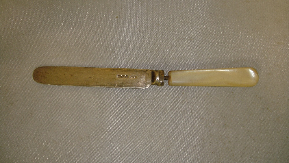 Silver bladed butter knife with mother of pearl handle Sheffield including handle James Dixon &