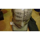 Pottery phrenology head