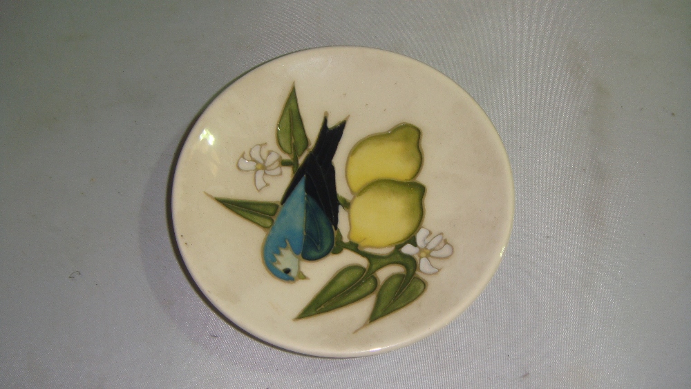 Moorcroft pin dish decorated with exotic bird on lemon tree branch
