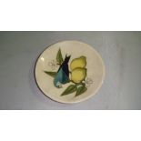 Moorcroft pin dish decorated with exotic bird on lemon tree branch