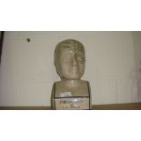 Pottery phrenology head