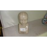 Pottery phrenology head