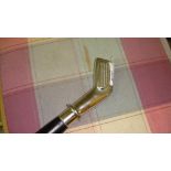 Golf club walking stick