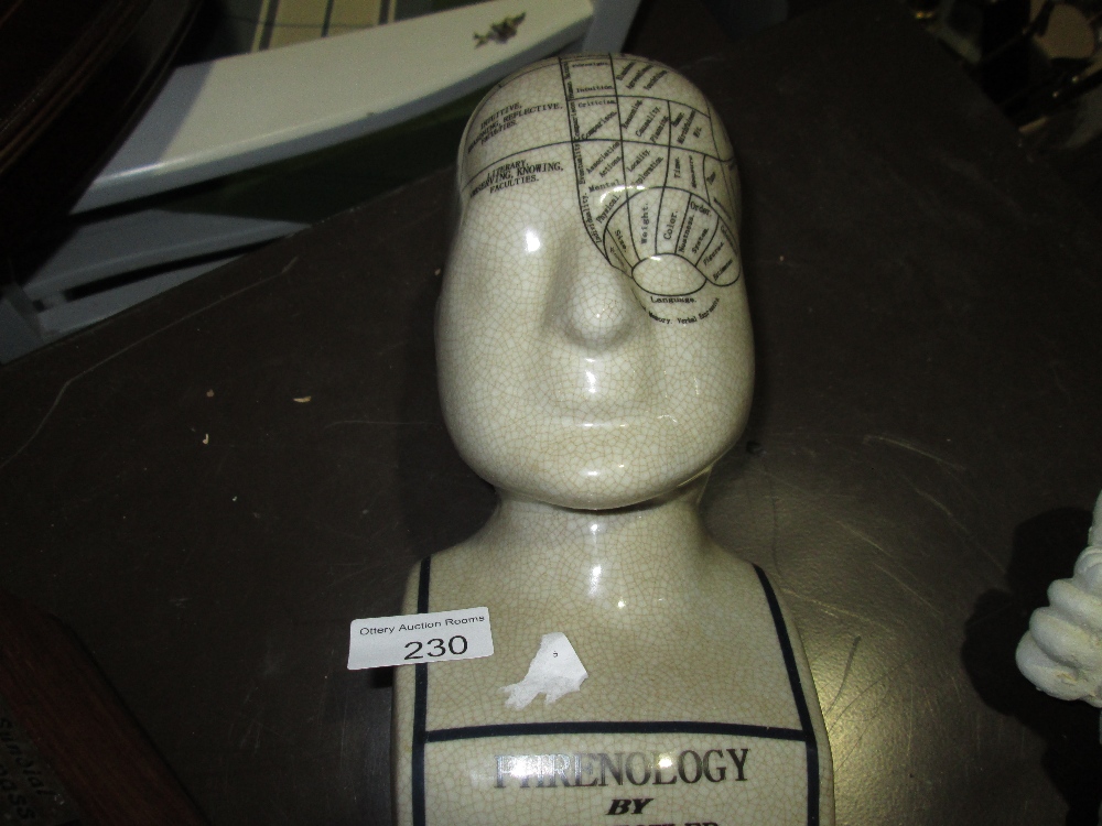 Pottery phrenology head