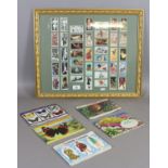 A framed set of cigarette cards depicting Olympians along with albums containing wild flowers,