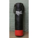 An Everlast punch bag.