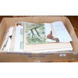 A box of prints, sketches, watercolours etc.