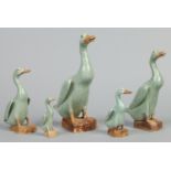 Five 20th century Chinese graduated models of geese.