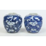 Two 19th century Chinese Kangxi style ginger jars. Painted in underglaze blue with prunus blossom.