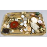 A tray of collectables including a silver mounted snakeskin purse, geological specimens,