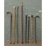 A bundle of seven walking sticks to include carved head and shell case handles.