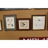 2 Fishing fly prints, framed fishing fly