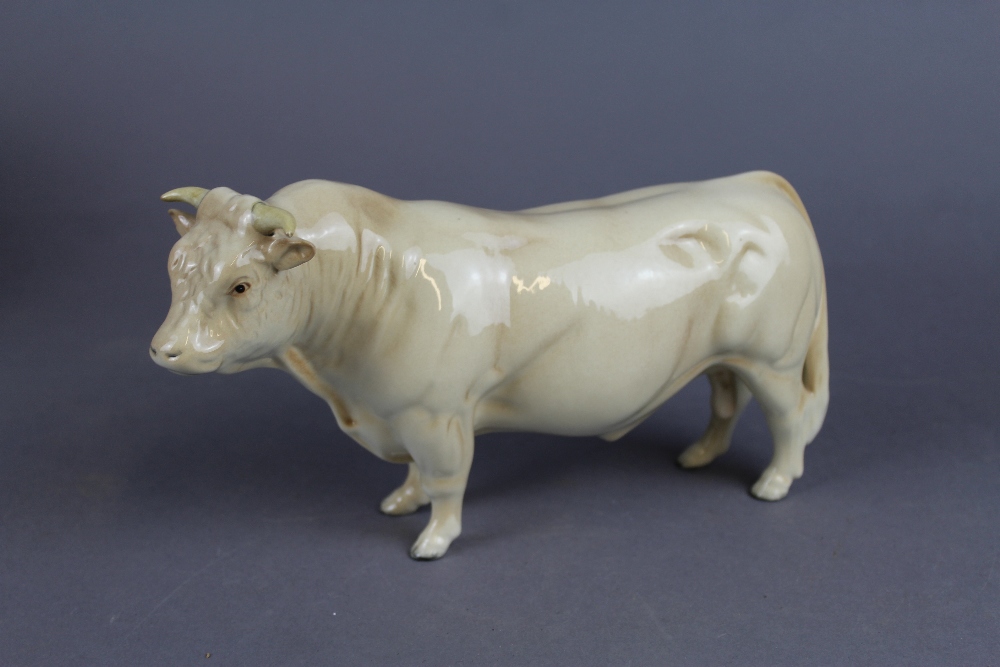 Beswick Charolais bull 2463a