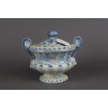 Beauties of England & Wales blue & white tureen