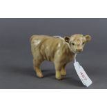 Beswick pottery Charolais calf 1827b