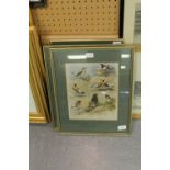 2 Archibald Thorburn bird prints & 6 other misc prints