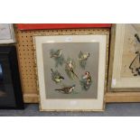 After Raymond Watson, colour print, British garden birds, in gilt bamboo effect frame and glazed