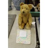 12" 'Cotton Fur' elderly bear & 'Little Billy Bruin'