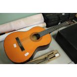 Tanglewood Acoustic Guitar