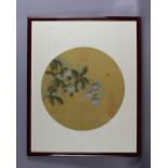 20th Century Chinese - Watercolour on silk - Study of passion fruit, 29cm diameter, with seal marks,