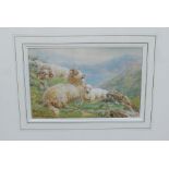 Basil Bradley RWS (1842-1904) - Watercolour - Sheep and lamb on hillside, signed and dated 1886,