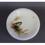 A Royal Worcester porcelain low comport, decorated with a Blue Tit by Ernest Barker, 24cm diameter x