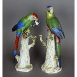 A pair of late 19th/early 20th Century Meissen porcelain figures on parrots on rustic stumps, 31cm