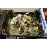 Box of animal figures, inc. Adderly