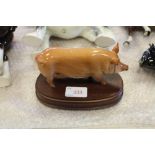 Royal Doulton Tamworth Pig on base