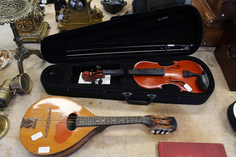 Cased violin and mandolin