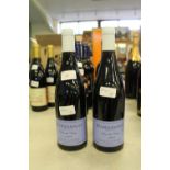 Two bottles of Domaine Sylvain Pataille 'Clos du Roy' Marsannay 2009