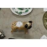 Beswick Pug Dog CH Cutmil Cupie