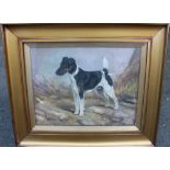 Frederick Thomas Daws (born 1878) - Oil painting - Portrait of a Fox Terrier 'Heleva Topnote',