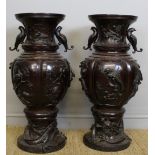 A pair of impressive late 19th Century Chinese or Japanese bronze vases, the lobed bodies cast in