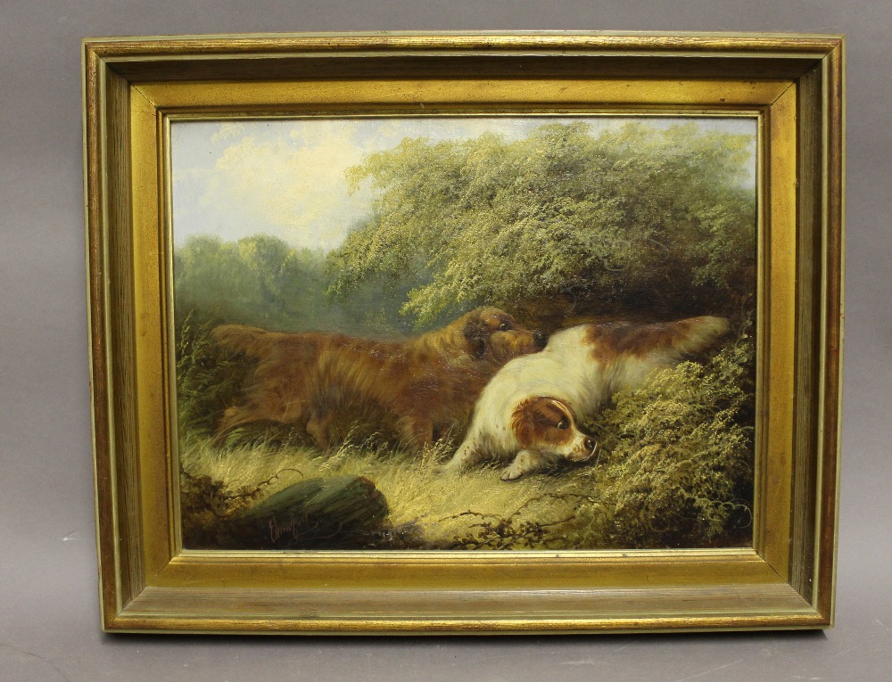 Edward Armfield (1817-1896) - Oil painting - Two dogs hunting, canvas 30cm x 40cm, signed, in gilt