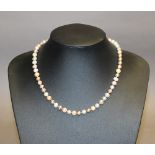 A multi-coloured freshwater pearl necklace with rose gold plated 925 silver clasp, 46cm long. Good