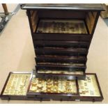 19th Century Stained Pine Entomologists Cabinet of Ten Drawers each with a Glass Top containing a