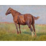 Ernest Higgins Rigg (1868-1947), Study of a horse, signed, oil on board, 23 x 29.5cm.; 9 x 11.5in.