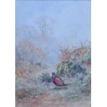 Henry Stannard R.B.A. (1844-1920), Pheasant in a rural landscape, signed, watercolour, 29.5 x 22cm.;