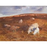 David Tress (1955-), "Sheep and Lamb, Dark Moorland", signed and dated 1984, watercolour, 55 x 73.