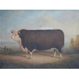 D.M.H, 19th/20th century Naive School, A prize bull in a rural landscape, initialled and