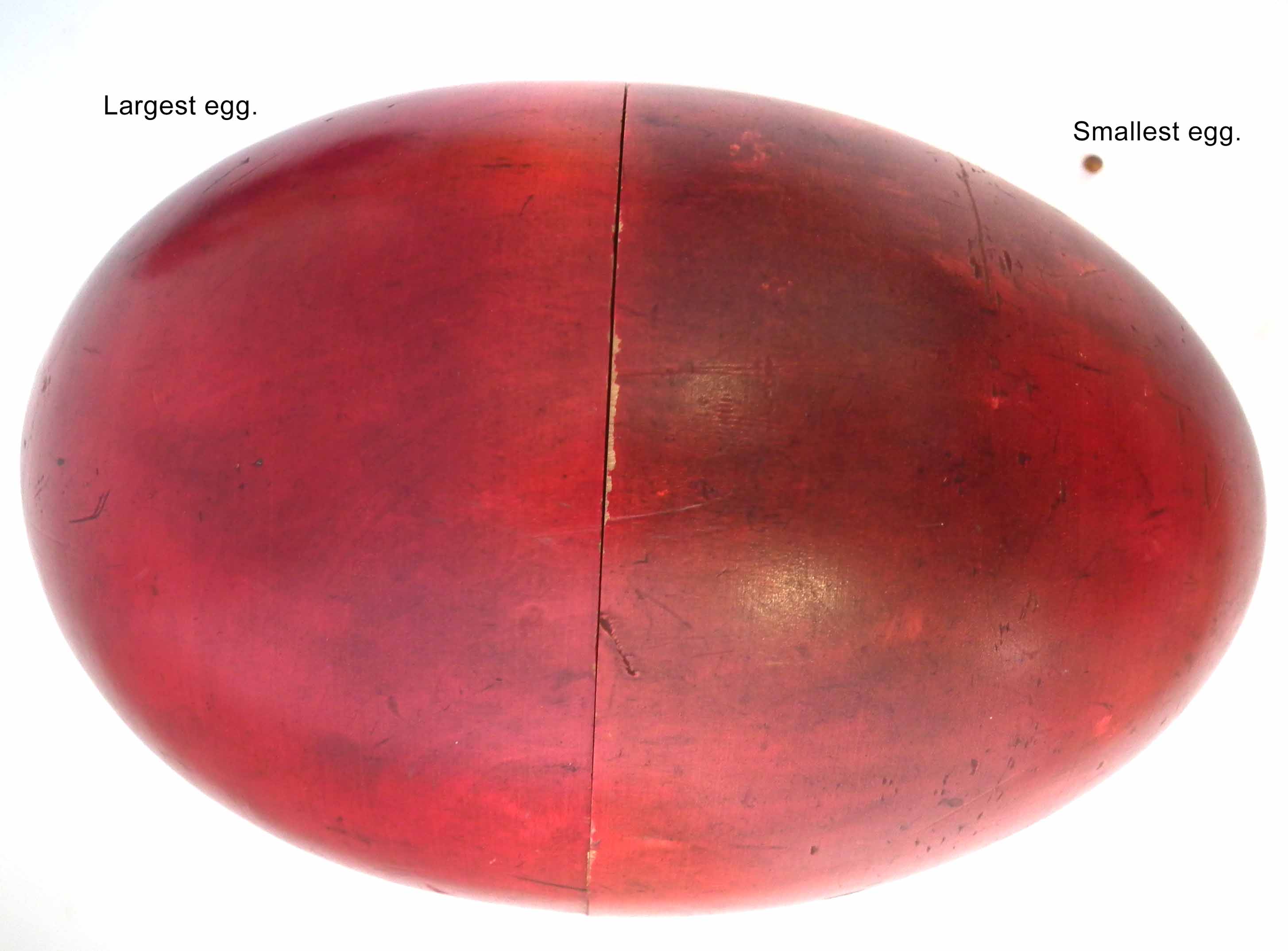 Incredible Thirty four layer nesting egg, turned and stained wood, the largest egg measures 16cm the - Image 8 of 9